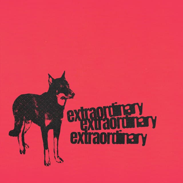 Extraordinary cover art