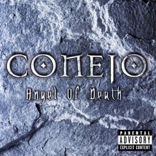 You Could Get Got cover art