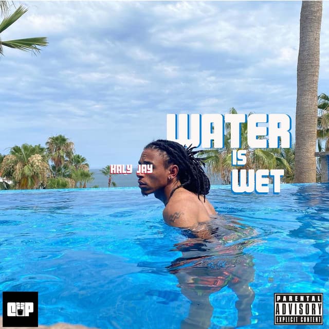 POV cover art