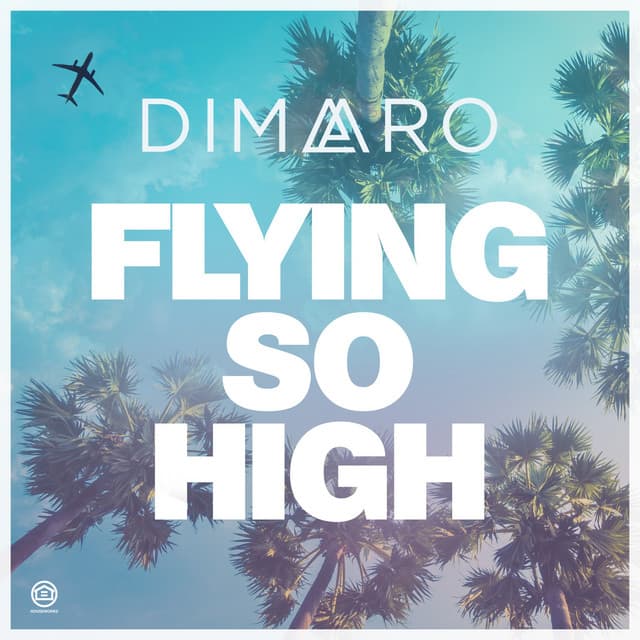 Flying so High - Extended Mix cover art