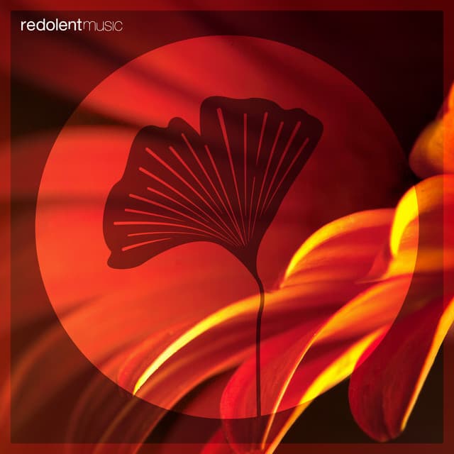 Aura - DJ CHUS Remix cover art