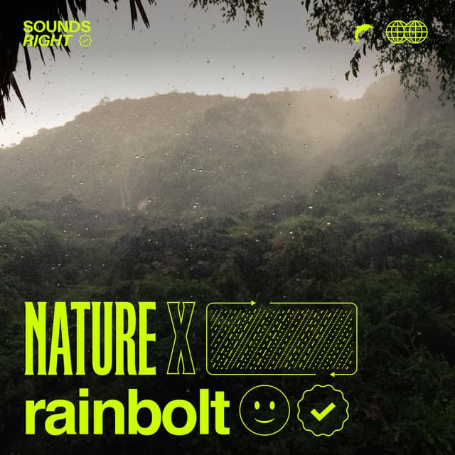 san jose rain cover art