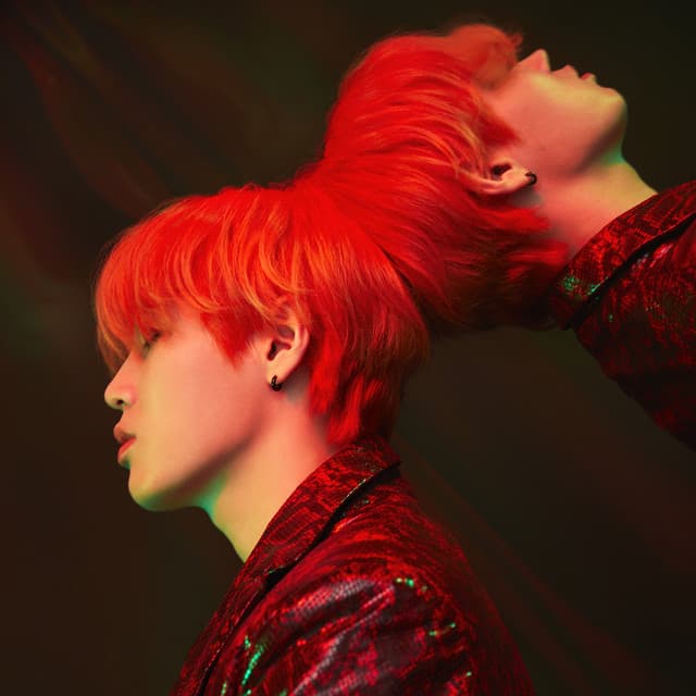Puzzle cover art