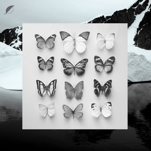 All Comes cover art