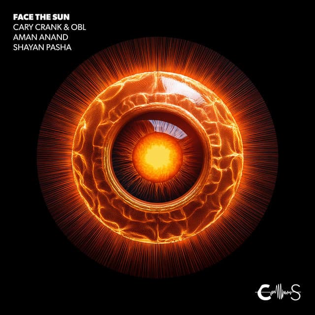 Face the Sun - Aman Anand Remix cover art