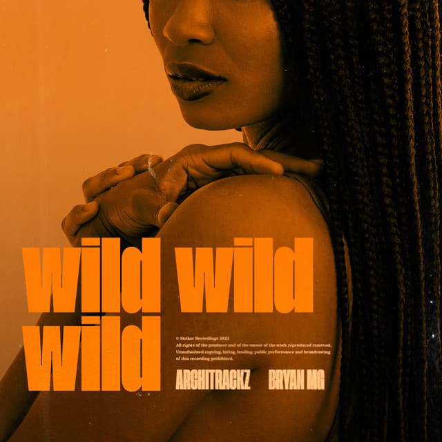 Wild Wild Wild cover art