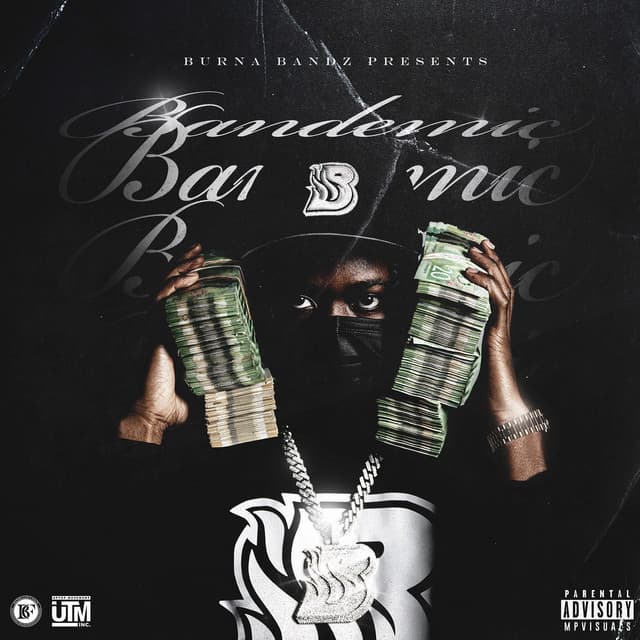 Bandemic cover art