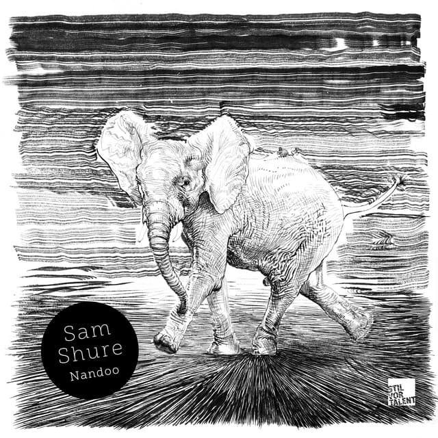 Shams cover art