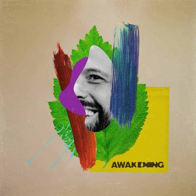 Awakening cover art