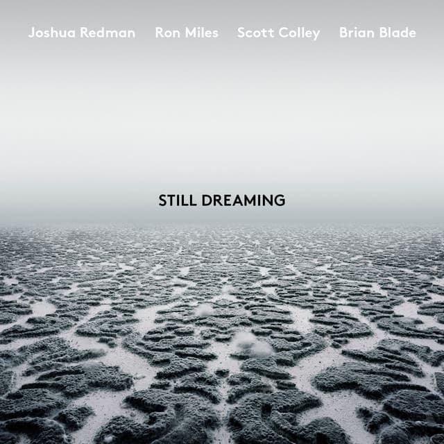 Blues for Charlie (feat. Ron Miles, Scott Colley & Brian Blade) cover art