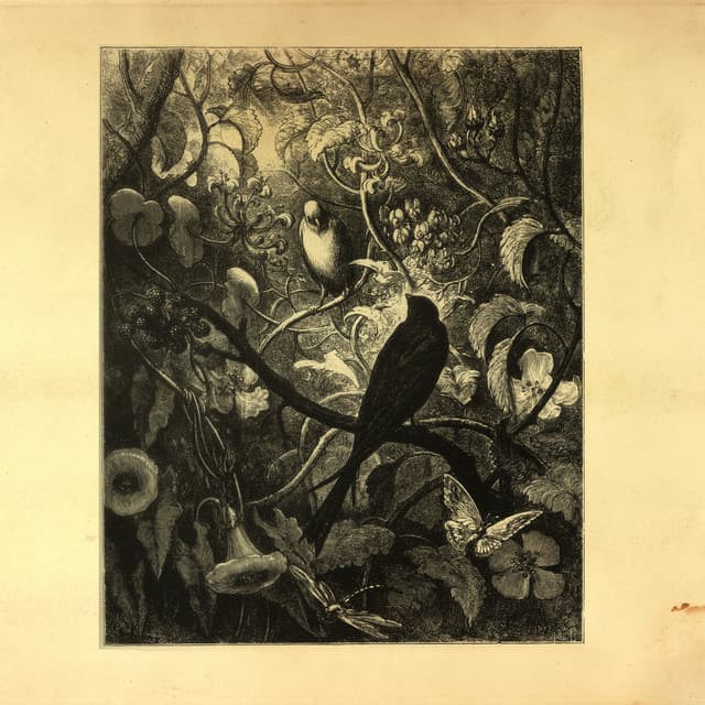 Synchronize cover art