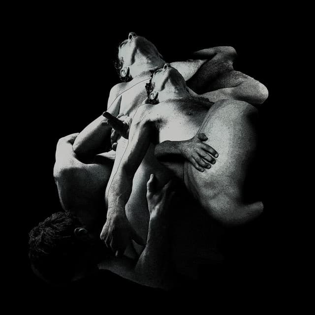 Punish, Honey cover art