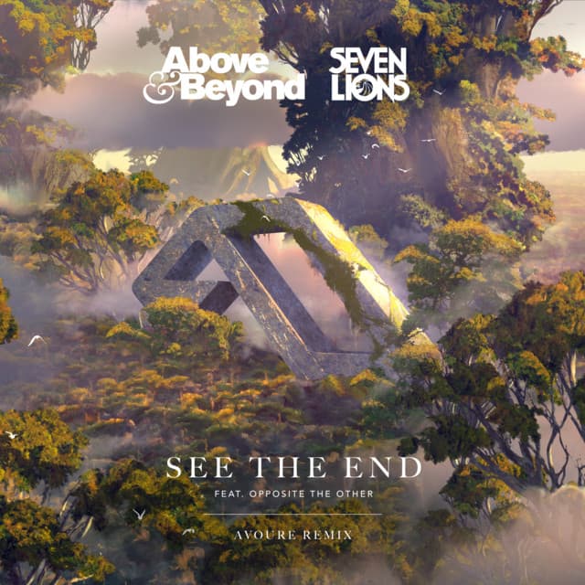 See The End - Avoure Remix cover art