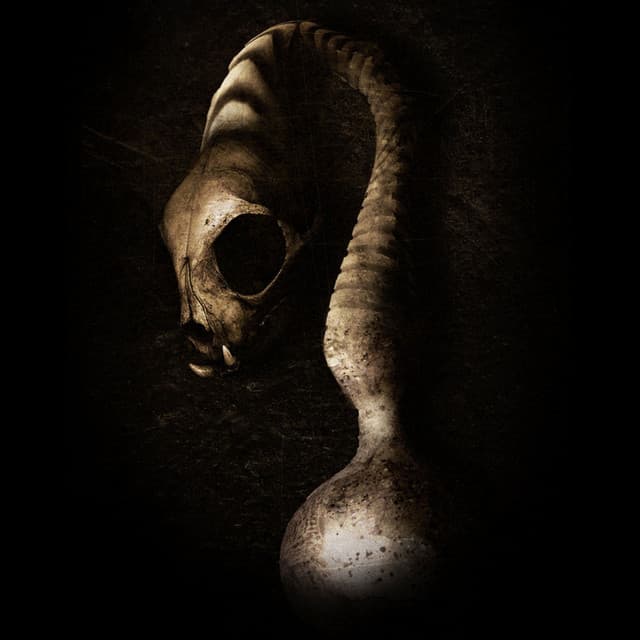 Who Controls - Kyle Geiger Remix cover art