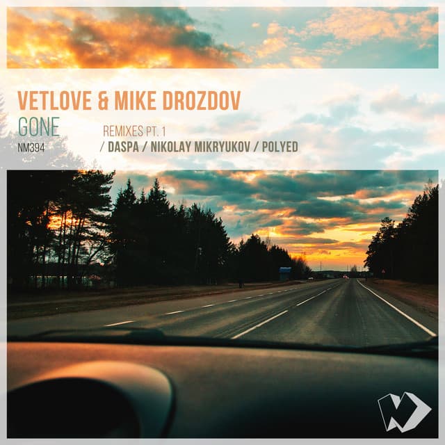 Gone - Nikolay Mikryukov Remix cover art