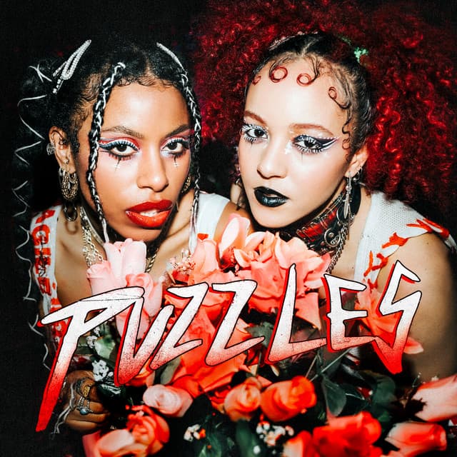 Puzzles cover art