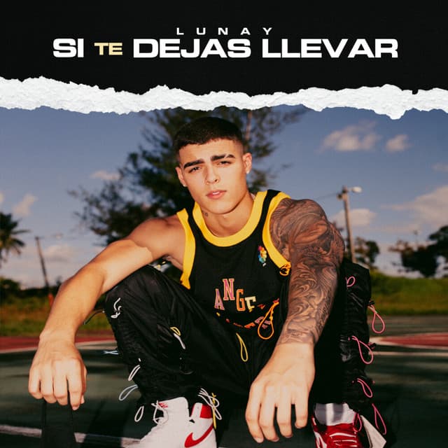 Si Te Dejas Llevar cover art