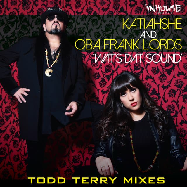 Wat's Dat Sound - Todd Terry Remix cover art