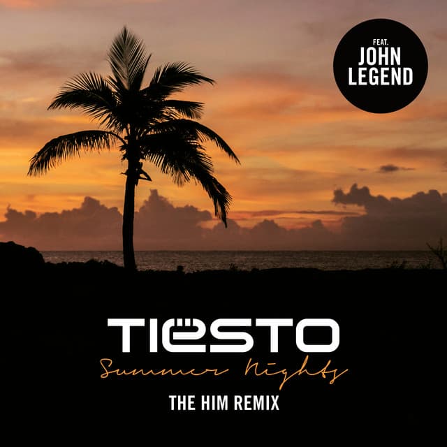 Summer Nights - The Him Remix cover art