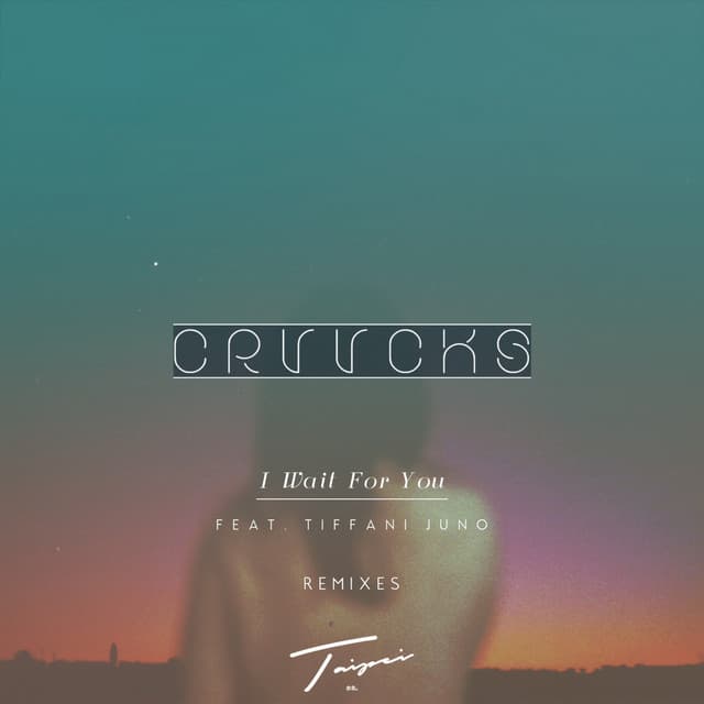 I Wait For You - Mad Villains Remix cover art