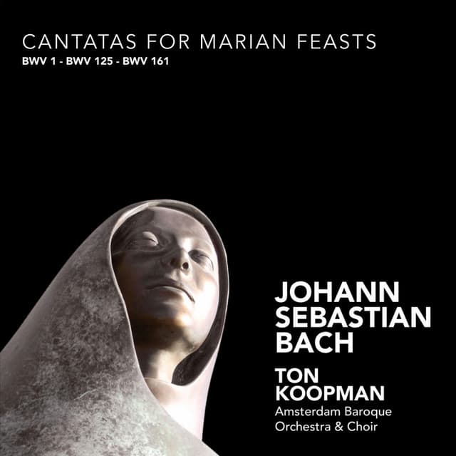 Bach: Cantatas for Marian Feasts cover art