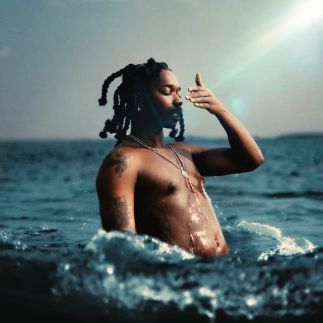 Vibration cover art