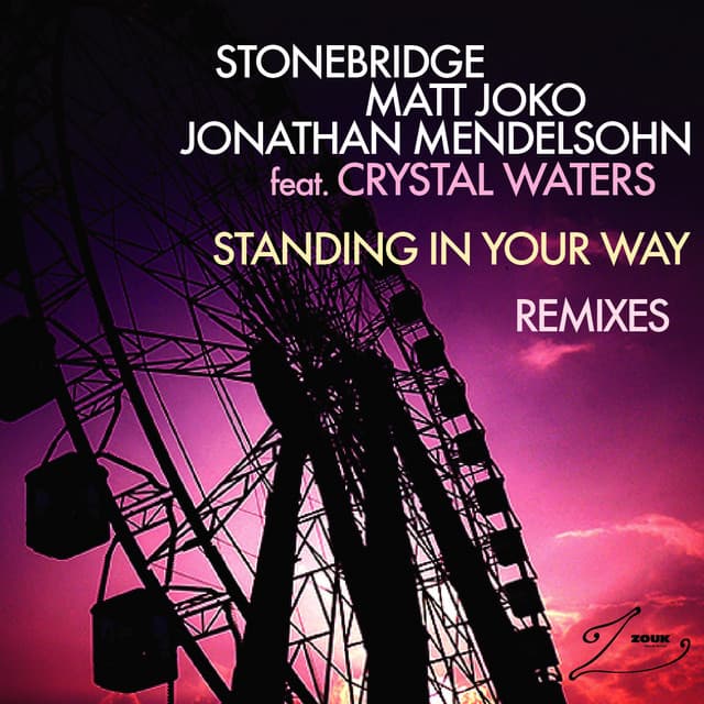 Standing In Your Way - Matt Joko Remix Edit cover art