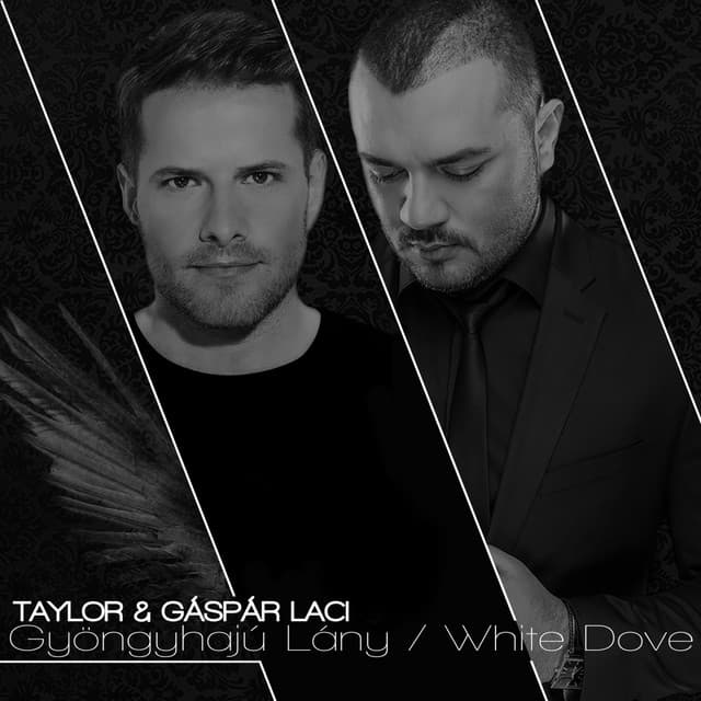 Gyöngyhajú Lány - Victor Brown Remix cover art