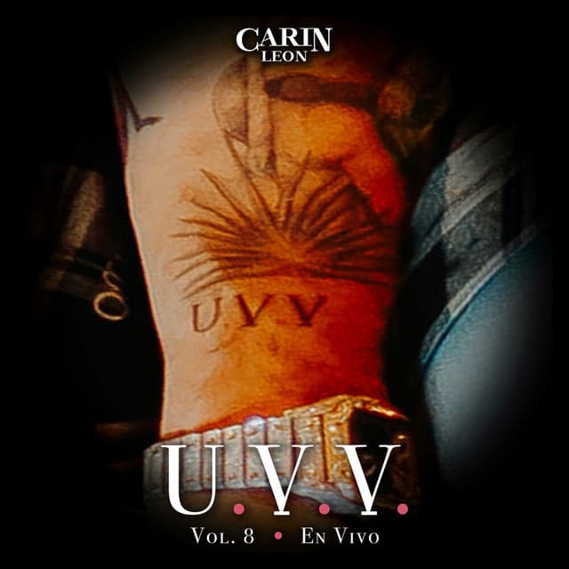 Fuerza (En Vivo) cover art