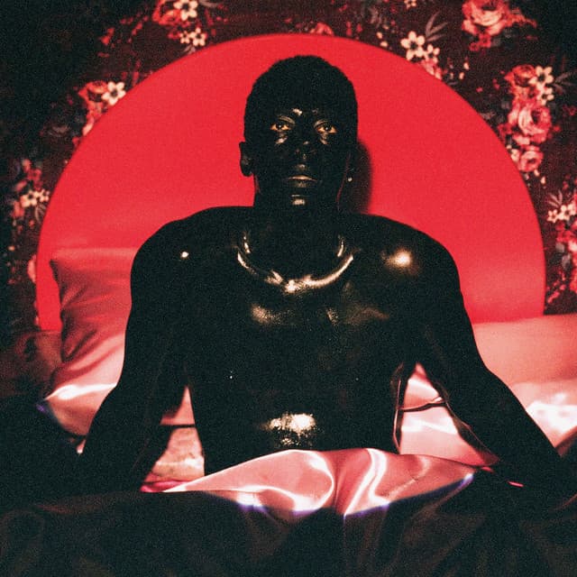 Simulation (feat. Swamp Dogg, Justin Vernon) cover art