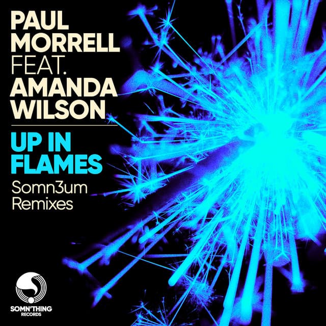 Up In Flames - Somn3um Radio Edit cover art