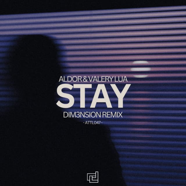 Stay - DIM3NSION Remix cover art