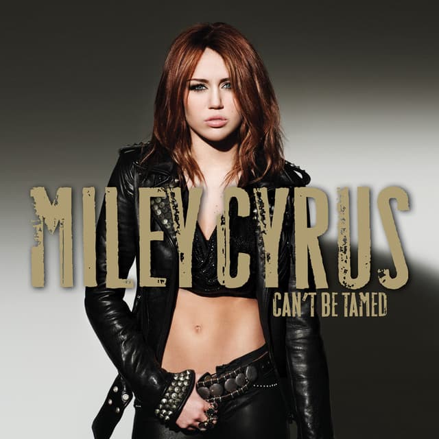 Who Owns My Heart cover art