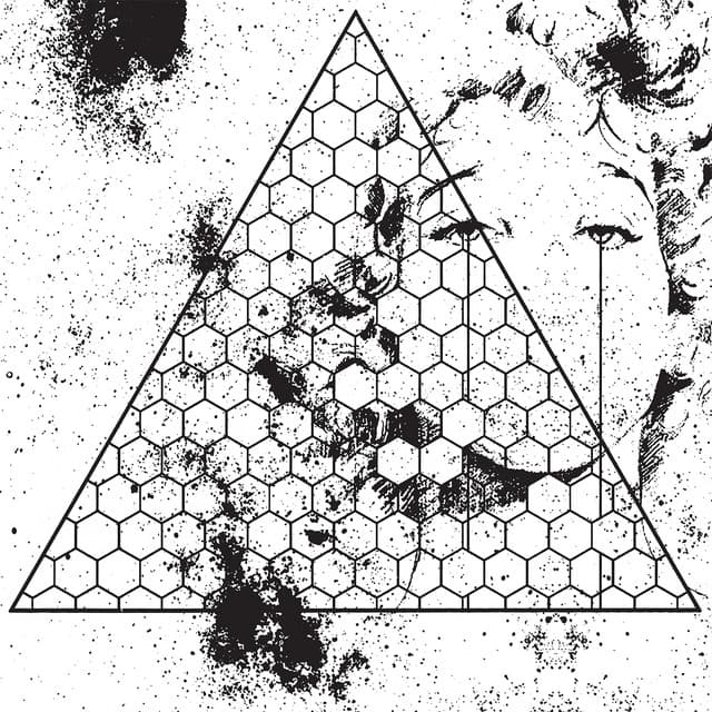 Betrayed in the Octagon cover art