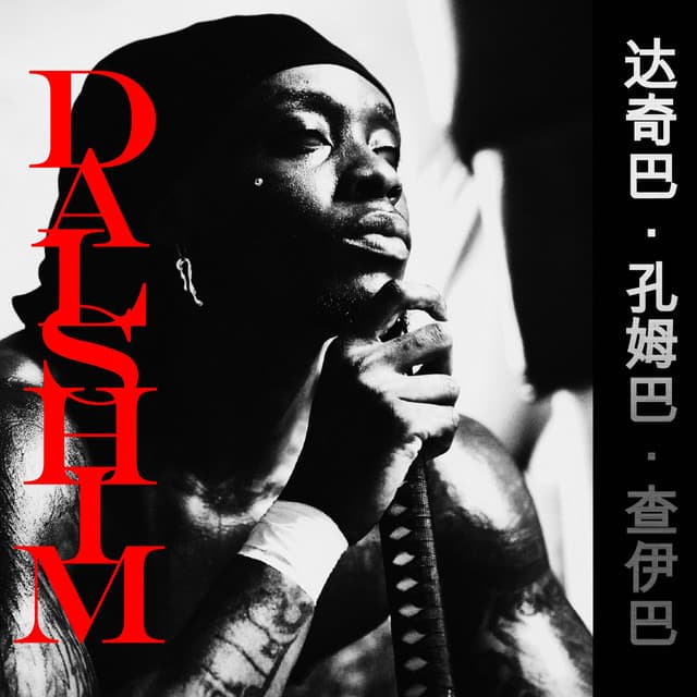 DACHIBA KOUMGBA TCHAIBA : DALSHIM cover art