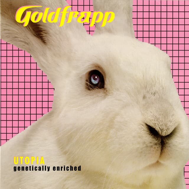 Human - Live At Ancienne Belgique cover art