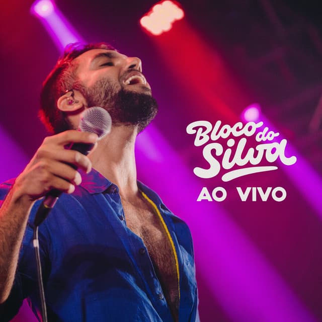 Nobre Vagabundo - Ao Vivo cover art