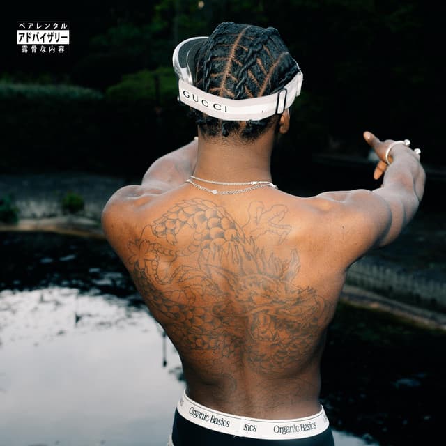 Op Zoek Naar Geluk cover art
