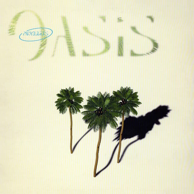 Oasis - Damn Sheik Mix cover art