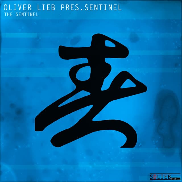 The Sentinel - Radio Edit cover art