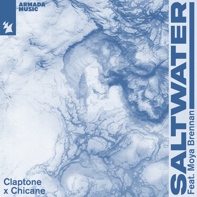 Saltwater cover art