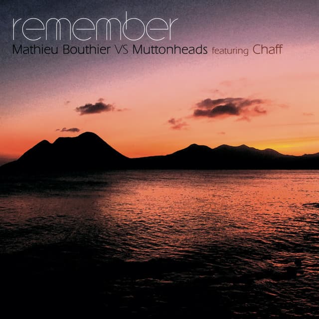 Remember - Swindlers Mix cover art