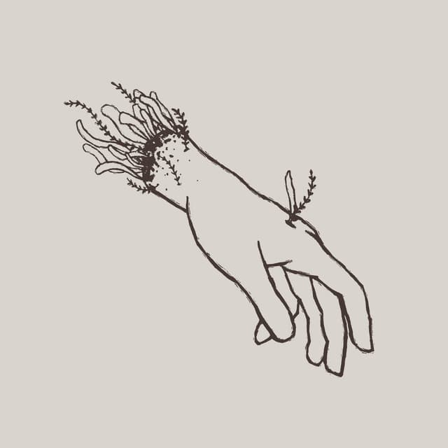 Your Animal cover art