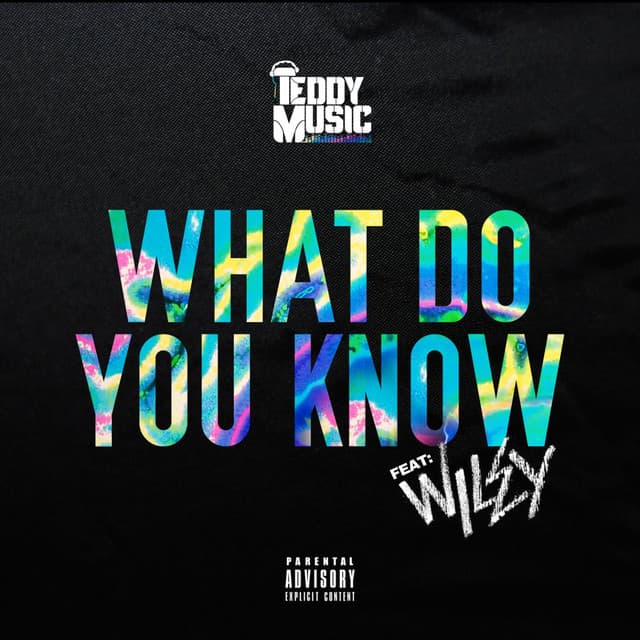What Do You Know - Abstract & Logic Remix cover art
