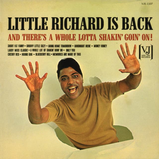 Goodnight Irene cover art