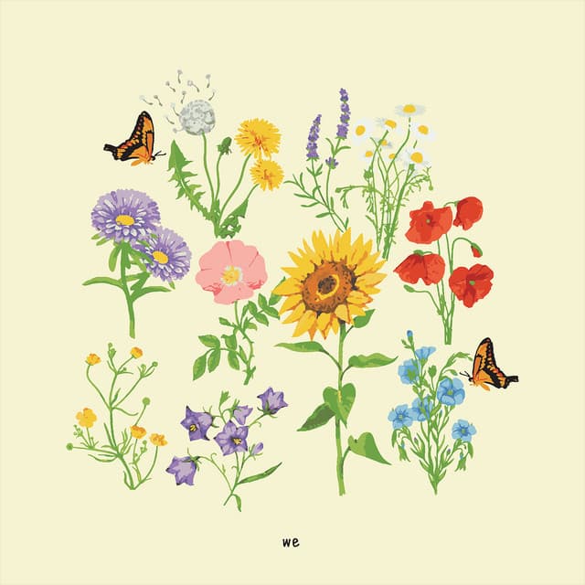 we cover art