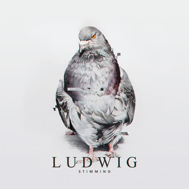 Pidgeons cover art