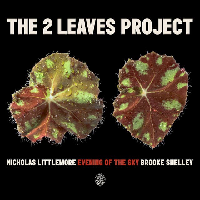 Evening of the Sky cover art