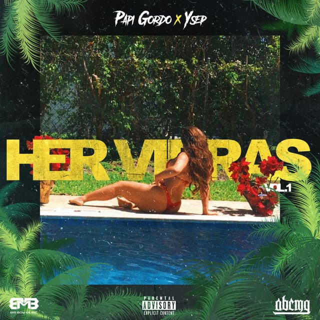 Her Vibras, Vol. 1 cover art