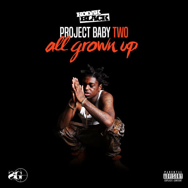 Project Baby 2: All Grown Up (Expanded Deluxe Edition) cover art